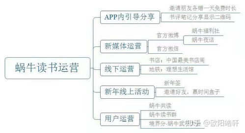 产品运营方法与路径 从用户洞察到增长闭环